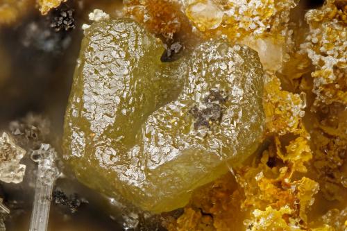 Chlorargyrite<br />Blue Bell Mine, Baker, Soda Lake Mountains, San Bernardino County, California, USA<br />FOV = 1.7 mm<br /> (Author: Doug)