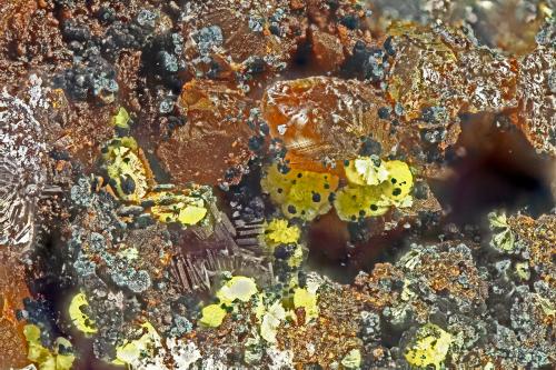 Meurigite-K<br />Chino Mine, Santa Rita, Santa Rita District, Grant County, New Mexico, USA<br />FOV = 2.0 mm<br /> (Author: Doug)