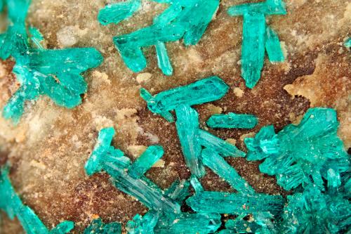 Dioptase<br />Bonanza Mine, Bonanza and Golden Eagle Mine group, Martin Peak, Little Harquahala Mountains, Salome, Little Harquahala District, La Paz County, Arizona, USA<br />FOV = 4.0 mm<br /> (Author: Doug)