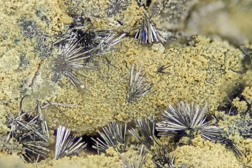 Stibnite<br />Mina Getchell, Pico Adam, Distrito Potosi, Montes Osgood, Condado Humboldt, Nevada, USA<br />FOV = 4.0 mm<br /> (Author: Doug)