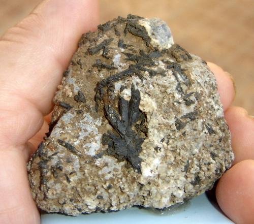 Aegirine<br />Pedra Balão, Complejo alcalino Poços de Caldas, Poços de Caldas, Minas Gerais, Brasil<br />5 x 5 x 3,4 cm<br /> (Author: Anísio Cláudio)