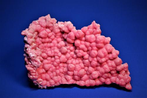 Rhodochrosite<br />Mina Oppu, Nishimeya-mura, Distrito Nakatsugaru, Prefectura Aomori, Región Tohoku, Isla Honshu, Japón<br />210 mm x 130 mm<br /> (Author: Don Lum)