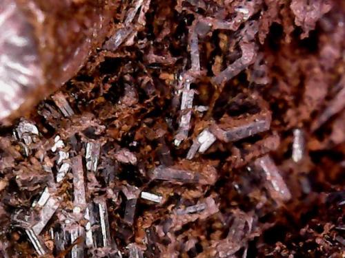 Goethite<br />Morro das Balas, Formiga, Minas Gerais, Brazil<br />Crystals with 1- 2mm<br /> (Author: Anísio Cláudio)