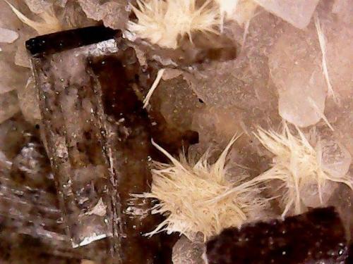 Mordenite, 'Stellerite' and Hyalite<br />Monte Bérico, Caxias do Sul, Nordeste Rio-grandense, Rio Grande do Sul, Brasil<br />Crystals with 4 mm<br /> (Author: Anísio Cláudio)