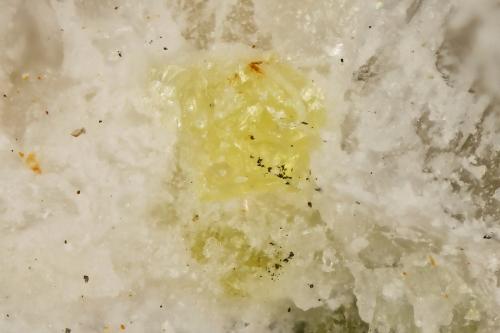 Fresnoite<br />Esquire No. 1 claim, Rush Creek, Rush Creek deposit, Big Creek-Rush Creek District, Fresno County, California, USA<br />FOV = 0.8 mm<br /> (Author: Doug)