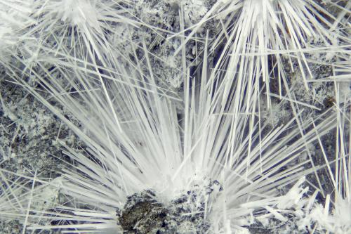 Canavesite<br />Mina Brosso, Cálea, Léssolo, Distrito Canavese, Provincia Ciudad metropolitana de Turín, Piamonte (Piemonte), Italia<br />FOV = 4.0 mm<br /> (Author: Doug)