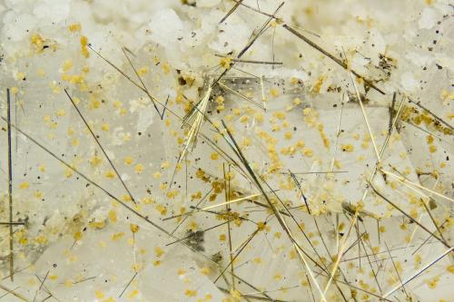 Millerite<br />Le Cetine di Cotorniano Mine (Le Cetine Mine), Chiusdino, Siena Province, Tuscany, Italy<br />FOV = 4.0 mm<br /> (Author: Doug)