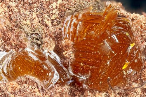 Descloizite<br />Overland Mine, Hayden area, Dripping Spring Mountains, Chilito, Banner District, Gila County, Arizona, USA<br />FOV = 1.8 mm<br /> (Author: Doug)