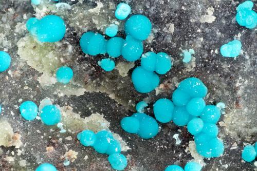 Mcguinnessite<br />Sierra Magnesite Mine (Premier Chemicals Mine), Gabbs, Gabbs District, Nye County, Nevada, USA<br />FOV = 3.9 mm<br /> (Author: Doug)