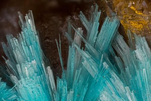 Aurichalcite<br />War Eagle Mine, Upper Noonday Camp, Nopah Range, Inyo County, California, USA<br />FOV = 3.8 mm<br /> (Author: Doug)