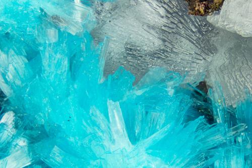 Aurichalcite<br />War Eagle Mine, Upper Noonday Camp, Nopah Range, Inyo County, California, USA<br />FOV = 4.0 mm<br /> (Author: Doug)