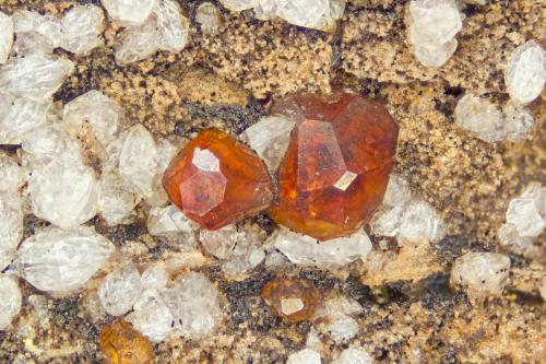 Spessartine<br />Sierra East Grants, Condado Cibola, New Mexico, USA<br />FOV = 4.0 mm<br /> (Author: Doug)