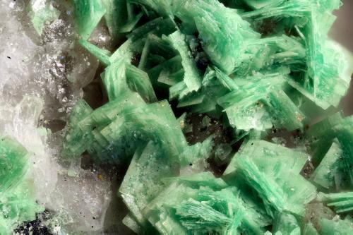 Torbernite<br />Wheal Basset, Basset Mines, Carn Brea, Pool, Illogan, Camborne - Redruth - Saint Day District, Cornwall, England / United Kingdom<br />FOV = 4.0 mm<br /> (Author: Doug)