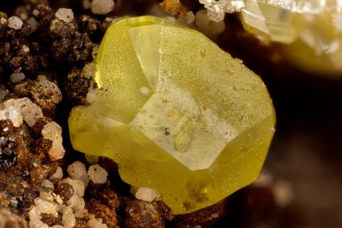 Wulfenite<br />Mineral Mountain Mine, Peloncillo Mountains, Kimball, San Simon District, Hidalgo County, New Mexico, USA<br />FOV = 3.2 mm<br /> (Author: Doug)