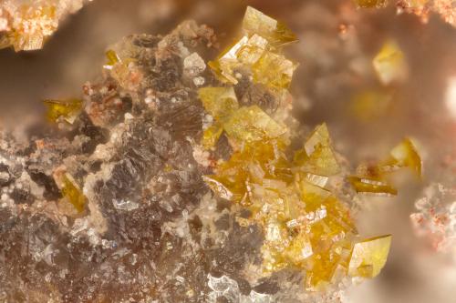 Descloizite<br />Hub Mine, Old Hadley (Graphic) District/Cookes Peak District, Luna County, New Mexico, USA<br />FOV = 1.6 mm<br /> (Author: Doug)