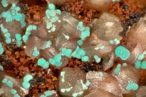 Rosasite<br />Mina Kelly, Magdalena, Distrito Magdalena, Condado Socorro, New Mexico, USA<br />FOV = 1.9 mm<br /> (Author: Doug)