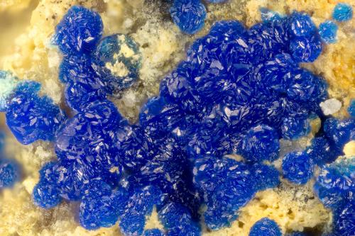 Azurite<br />Lovelock Mine, Cottonwood Canyon, Stillwater Range, Bolivia, Table Mountain District, Churchill County, Nevada, USA<br />FOV = 1.6 mm<br /> (Author: Doug)