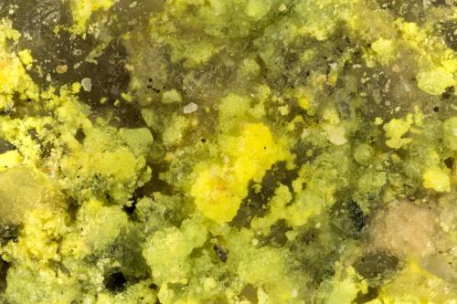 Andersonite, Natrozippeite<br />Mina Markey, Red Canyon, Distrito White Canyon, Condado San Juan, Utah, USA<br />FOV = 1.7 mm<br /> (Author: Doug)