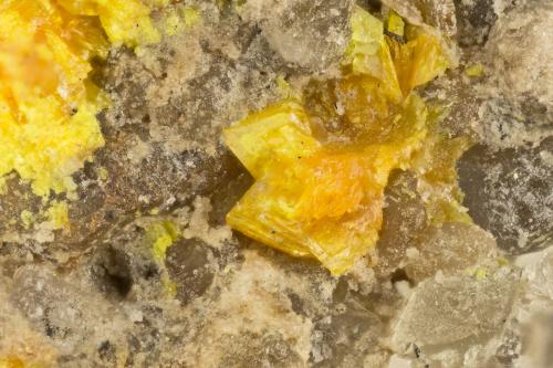 Francevillite<br />Pandora Mine, La Sal, La Sal District (Paradox Valley District), San Juan County, Utah, USA<br />FOV = 1.1 mm<br /> (Author: Doug)