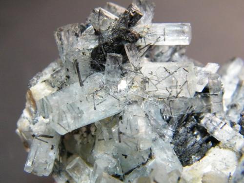 Beryl (variety aquamarine) and Schorl<br />Erongo Mountain, Usakos, Erongo Region, Namibia<br />112mm x 60mm x 43mm<br /> (Author: Heimo Hellwig)