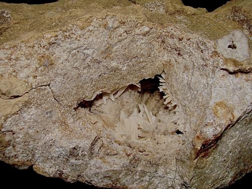 Aragonite<br />Afloramientos Carretera Estatal 37, Harrodsburg, Clear Creek, Condado Monroe, Indiana, USA<br />5 cm vug containing 2 cm Aragonite sprays<br /> (Author: Bob Harman)