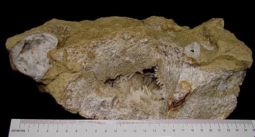 Quartz (geode)  and Aragonite in vug<br />State Route 37 road cuts, Harrodsburg, Clear Creek Township, Monroe County, Indiana, USA<br />See ruler for dimensions<br /> (Author: Bob Harman)
