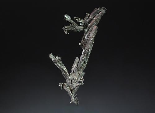 Dyscrasite after Allargentum and with Silver<br />Bouismas Mine, Agdz, Bou Azzer mining district, Zagora Province, Drâa-Tafilalet Region, Morocco<br />2.5 x 5.9 cm<br /> (Author: crosstimber)