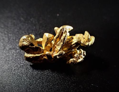 Gold, Paladium<br />Caroní River, Uriman, Bolívar State, Venezuela<br />23.8 mm x 12.7 mm x 7.4 mm<br /> (Author: Don Lum)