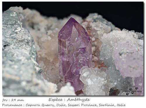 Quartz variety Amethyst<br />Capurru Quarry, Osilo, Sassari Province, Sardinia/Sardegna, Italy<br />fov 29 mm<br /> (Author: ploum)