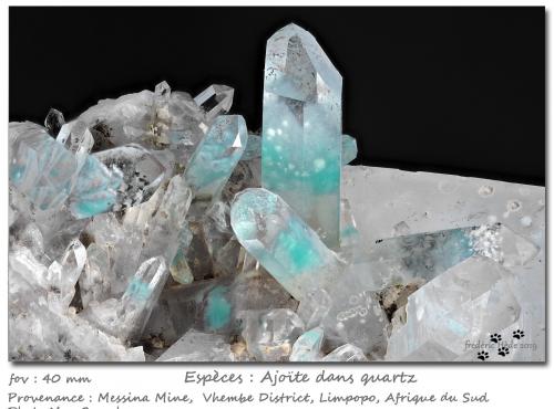 Ajoïte in quartz<br />Messina Mine, Musina (Messina), Vhembe District, Limpopo Province, South Africa<br />fov 40 mm<br /> (Author: ploum)