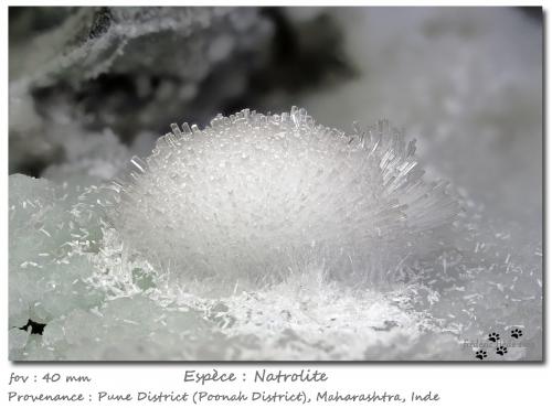 Natrolite<br />Pune District (Poonah District), Maharashtra, India<br />fov 40 mm<br /> (Author: ploum)