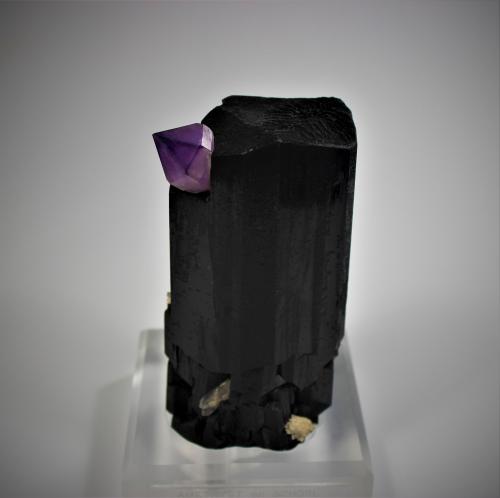 Schorl, Quartz (variety amethyst)<br />Erongo Mountain, Usakos, Erongo Region, Namibia<br />115 mm x 80 mm x 65 mm<br /> (Author: Don Lum)