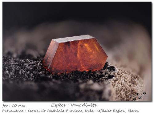 Vanadinite<br />Taouz, Er Rachidia Province, Drâa-Tafilalet Region, Morocco<br />fov 10 mm<br /> (Author: ploum)