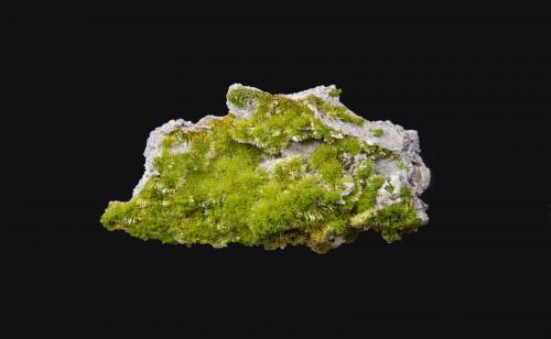 Piromorfita<br />Mina Saint-Salvy, Saint-Salvy-de-la-Balme, Tarn, Occitanie, Francia<br />8,4 x 4,6 cm.<br /> (Autor: Xavier Bordas)