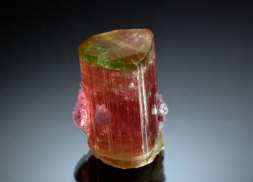 Elbaite<br />Himalaya Mine, Gem Hill, Mesa Grande District, San Diego County, California, USA<br />1.5 x 2.8 cm<br /> (Author: crosstimber)