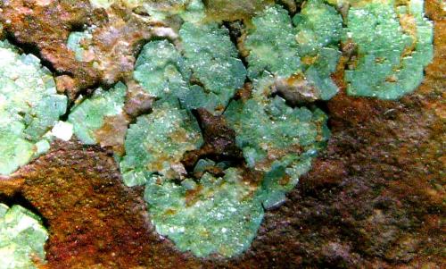 Zeunerita<br />Rabejac, Le Puech, Lodève District, Distrito Lodève, Hérault Department, Occitanie, France<br />Campo de visión 10 mm.<br /> (Autor: Antonio P. López)