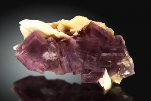 Fluorita, Barita<br />Cantera de Los Cobayos (La Paredona), zona minera de Berbes, Los Cobayos, Berbes, Ribadesella, Comarca Oriente, Principado de Asturias (Asturias), España<br />13x6cm, cristales hasta 35mm de arista<br /> (Autor: Raul Vancouver)