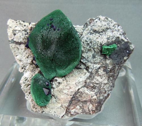 Malachite after Azurite<br />New Cornelia Mine, Ajo, Little Ajo Mountains, Ajo District, Pima County, Arizona, USA<br />5.3cm x 4.5cm<br /> (Author: rweaver)