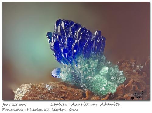 Azurite on Adamite<br />Hilarion Mine, Hilarion area, Kamariza Mines, Agios Konstantinos, Lavrion Mining District, Attikí (Attica) Prefecture, Greece<br />fov 2.5 mm<br /> (Author: ploum)