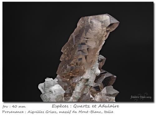 Quartz (variety smoky)<br />Glaciar Miage, Valle Veny, Macizo Monte Bianco (Macizo Mont Blanc), Courmayeur, Valle de Aosta (Val d'Aosta), Italia<br />fov 40 mm<br /> (Author: ploum)