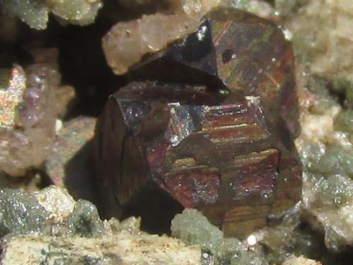 Pirita<br />Villel, Comarca de la Comunidad de Teruel, Teruel, Aragón, España<br />Cristales entre 5 y 10 mm.<br /> (Autor: Miguel Ángel Martinez)