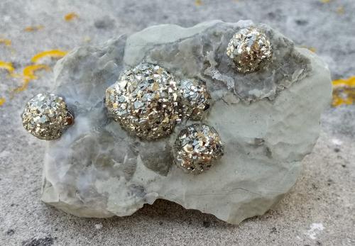 Pirita<br />Can Negret Quarry, Can Negret, Alaró, Mallorca, Balearic Islands / Illes Balears, Spain<br />53 mm<br /> (Autor: José Juárez Ruiz)
