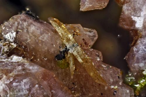 Titanita<br />Los Arenales Quarry, Monte La Rocha de Piquer, Torás, Comarca Alto Palancia, Castellón / Castelló, Valencian Community / Comunitat Valenciana, Spain<br />Cristal mayor 4 mm<br /> (Autor: Jorgina-Agusti-Màrius)