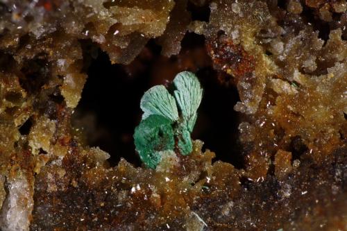 Malaquita<br />Mina Esther, La Torre de Cabdella, Vall Fosca, Comarca Pallars Jussà, Lérida / Lleida, Cataluña / Catalunya, España<br />2,5 x 3 mm<br /> (Autor: Jorgina-Agusti-Màrius)