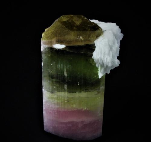 Elbaite (Tourmaline Group), Albite (variety cleavelandite)<br />Badakhshan Province, Afghanistan<br />92 mm x 52 mm<br /> (Author: Don Lum)