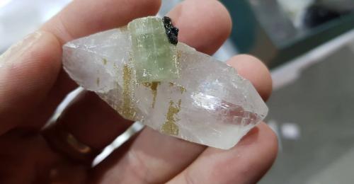 Fluorapatito (Grupo Apatito) con Casiterita<br />Minas da Panasqueira, Aldeia de São Francisco de Assis, Covilhã, Castelo Branco, Cova da Beira, Centro, Portugal<br /><br /> (Autor: Ignacio)