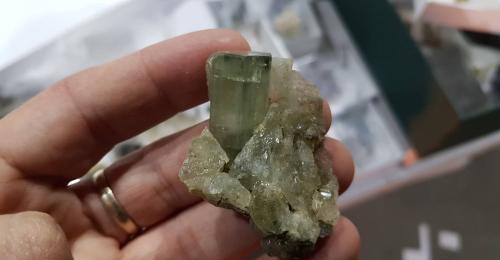 Fluorapatito (Grupo Apatito) sobre Cuarzo<br />Minas da Panasqueira, Aldeia de São Francisco de Assis, Covilhã, Castelo Branco, Cova da Beira, Centro, Portugal<br /><br /> (Autor: Ignacio)