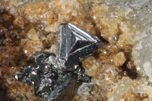 Tetraedrita<br />Mina Nueva Virginia, Barranco Royo, Lanzuela, Comarca Jiloca, Teruel, Aragón, España<br />Cristal 1 mm<br /> (Autor: Jorgina-Agusti-Màrius)