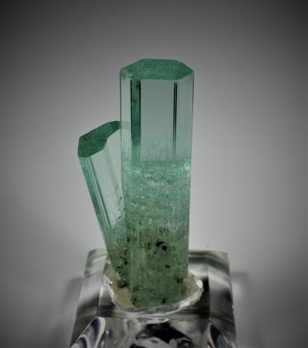 Beryl (variety aquamarine)<br />Braldu Valley, Shigar District, Gilgit-Baltistan (Northern Areas), Pakistan<br />104 mm x  40 mm<br /> (Author: Don Lum)