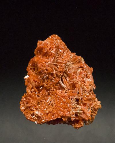 Crocoite<br />Dundas, Zeehan District, West Coast Council, Tasmania, Australia<br />4.5 X 4.5 cm<br /> (Author: Richard Arseneau)